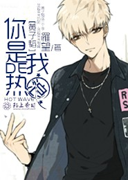 dnf帕拉丁无限神光