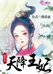 大华宸妃传