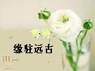 蔷薇花是怎么开放的