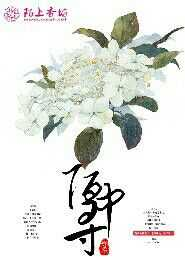 神女九卿txt百度云下载