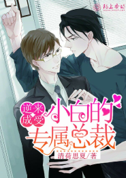 无尘之光