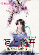 名家藏石