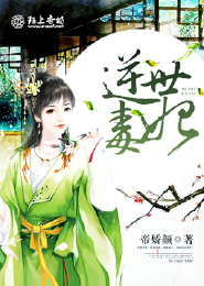 次元攻略系统