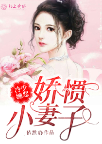 闪婚时代吻别总裁老公