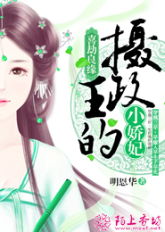 陛下的麻烦女人：妃子爱惹祸