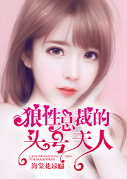 医道官途小说520