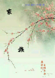 男主母亲是植物人的言情小说