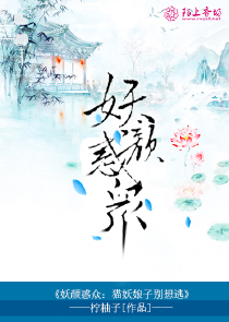 半截面具