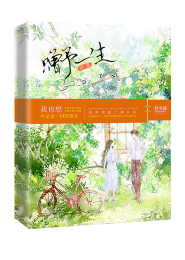 新不了情电视剧