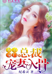 大宋隐天子