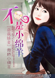 重生段誉之猎艳天龙