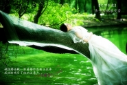 大明宫下载