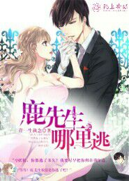 隐婚蜜爱：慕少，宠上隐！