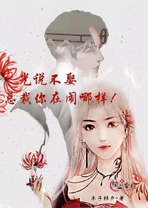 摄政王的腹黑公主妃