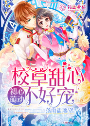 大盗无边