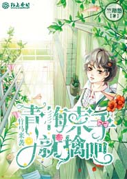 城市剑客电视剧百度云
