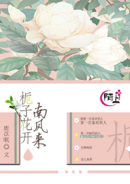 并蒂莲花开相关小说