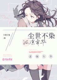 强盗传奇小说