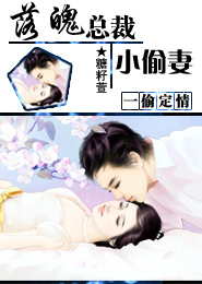 帝少掠情：二婚律师俏佳人