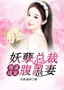 女主神奇宝贝同人温馨