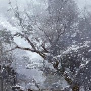 超级无赖