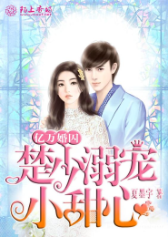 史上第一宠婚完整版