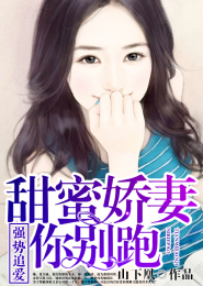 总裁爱上警察gl