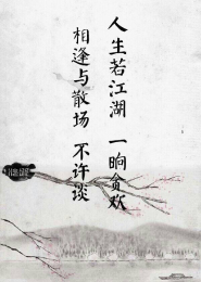 升龙道血红小说