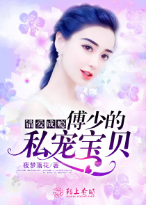 帝少的私宠宝贝全文免费阅读