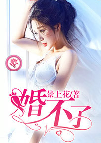 左右班子小说
