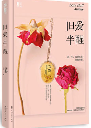 清穿之庶女将军