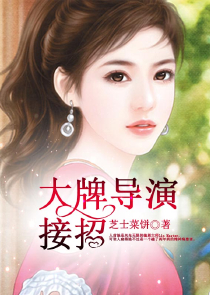 女主角叫王昭君的言情小说