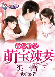 绝品少主苏辰的老婆