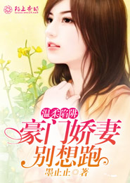 妃撩不可之冷王拐回家