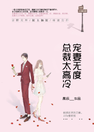 女主叫冷婉儿的小说