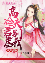 西北有高楼小说