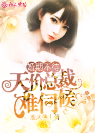 王甜甜是什么梗