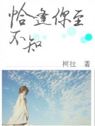 沐夕小说