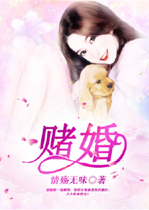 猫科动物打架