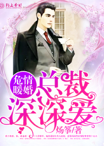 何以笙簫默續集txt