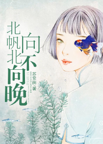 秘笈武道系统