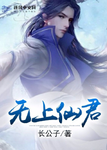 我才是魔法师的终极幻想