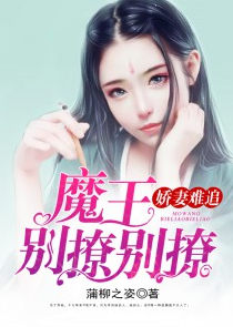 都市之觉醒之王
