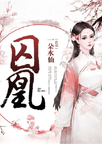 重生海贼之变身女剑豪