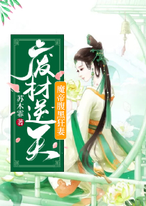 完本小说网站txt