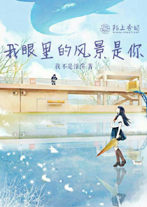 穿越或重生种马小说
