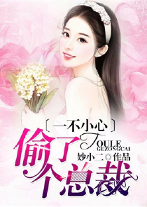 女主角有诺瓦露的同人小说