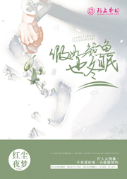 查理九世黑背街的亡灵