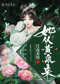 女主角叫王昭君的言情小说