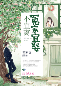 关于三国的小说